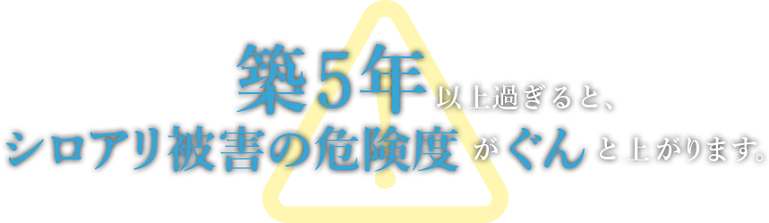 築５年以上過ぎると、シロアリ被害の危険度がぐんと上がります。