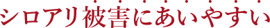 シロアリ被害にあいやすい